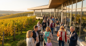 Турпоток в ростовские винодельни вырос на 80%: построили шатёр на 150 человек и готовят гостиницу