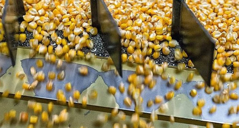 В Ростовской области за 33 млрд рублей построят завод с экспортом на 40%