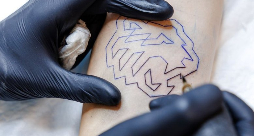 Украинец с нацистскими татуировками получил 2 года за мошенничество под видом помощи участникам СВО