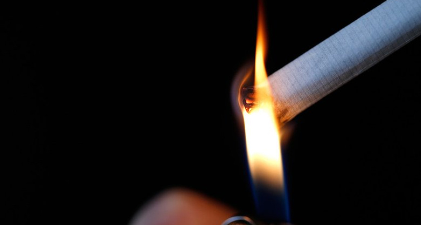 На Дону осудили организаторов подпольной табачной империи на 40 миллионов рублей
