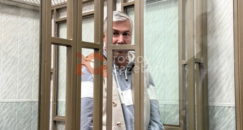 Экс-глава Ростова Логвиненко планировал вылет в Дубай за день до задержания по делу о коррупции