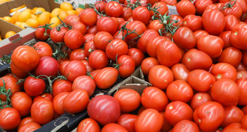 Помидоры взлетели на 6,2%, огурцы и картофель следом: какие продукты подорожали за неделю