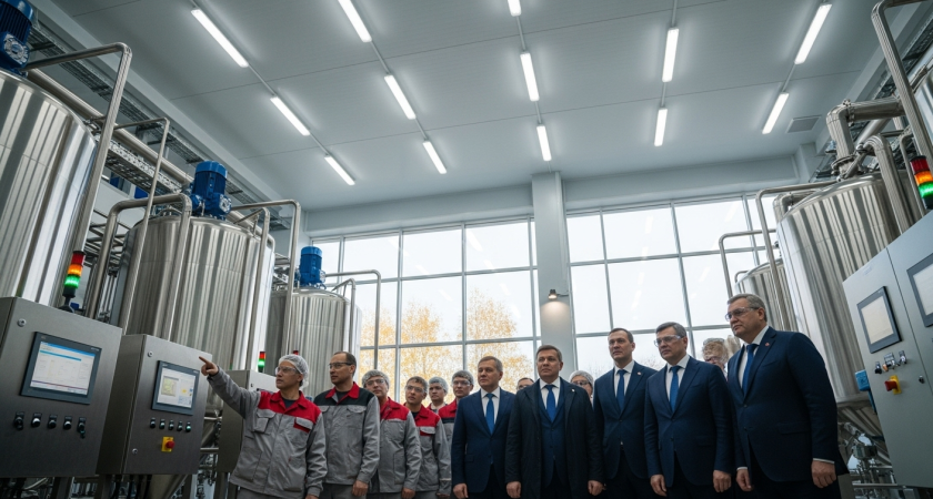 100 млрд рублей в АПК Дона: заморозки и засуха не помешали запустить 13 проектов