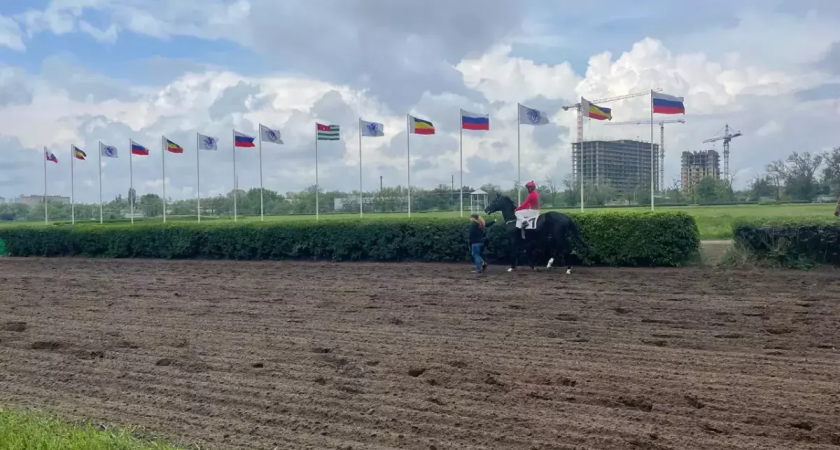 Один из старейших ипподромов страны продали за 8 млрд: конникам дали 3 дня вывезти лошадей