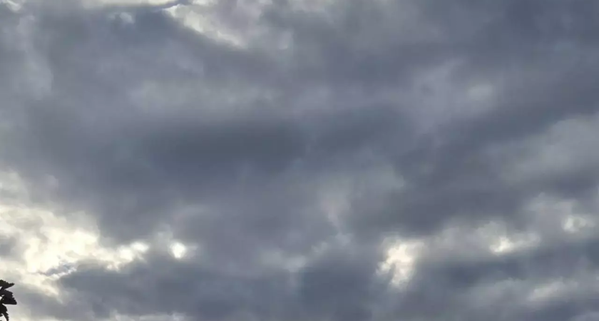 98 беспилотников за одну ночь: ПВО отразили массированную атаку на юг России