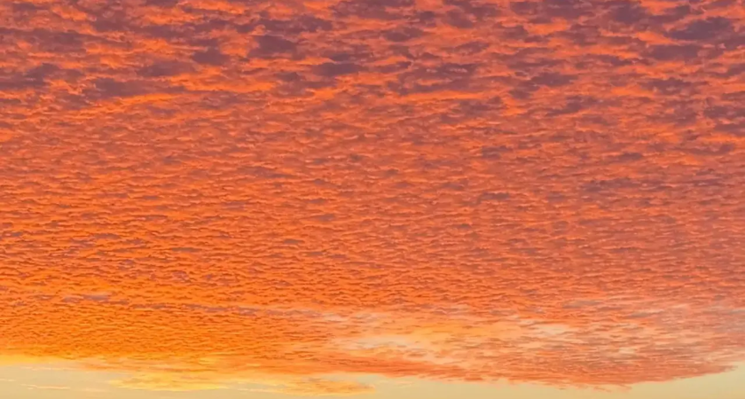 29 дронов за три часа: Черное море приняло основной удар ночной атаки