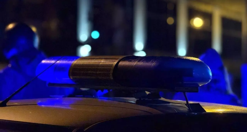 МРЭО Ростовской области не примут водителей 4 ноября: ГИБДД призывает записываться заранее