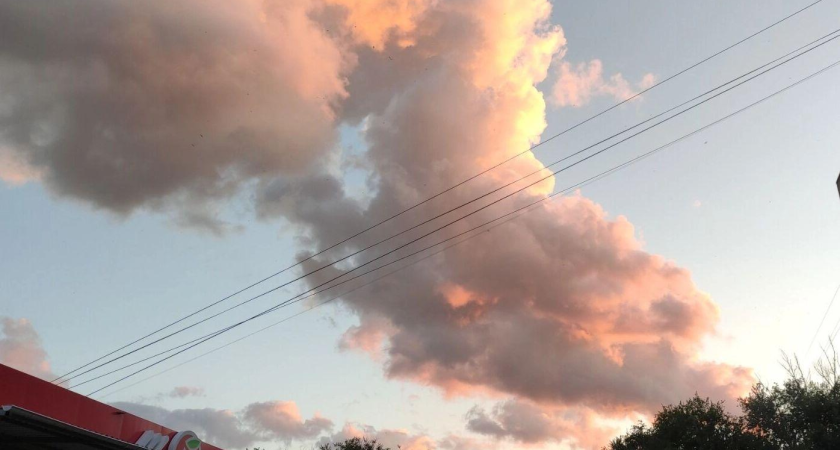 Вассерман: при диверсии на ЗАЭС радиоактивное облако накроет Киев, а не Ростов