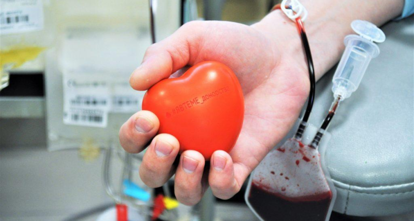 128 жителей Дона сдали кровь от 30 до 60 раз: губернатор присвоил им почетное звание