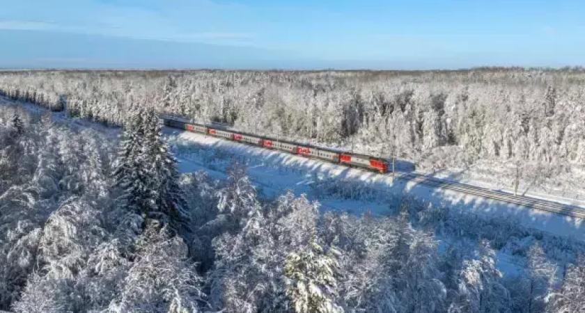 Поезд Деда Мороза объедет Ростовскую область стороной: ближайшая остановка — в Тамбове