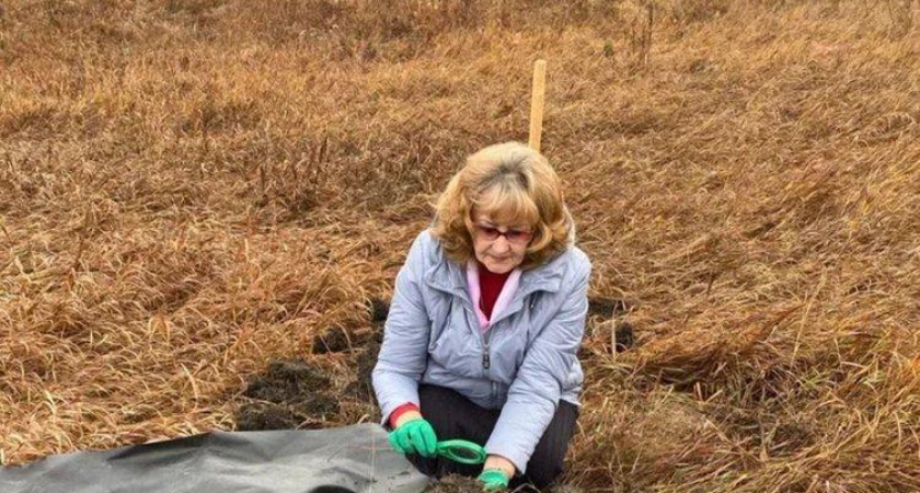 Теплая зима создала угрозу: специалисты отслеживают саранчу с Украины для защиты полей ЛНР