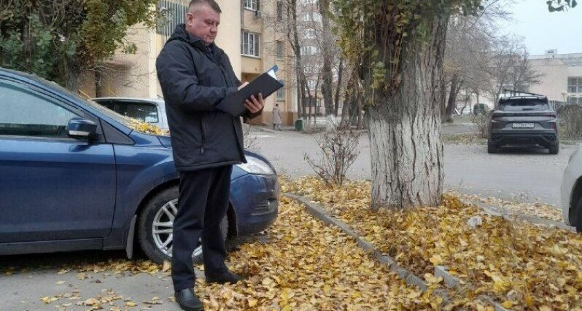 240 протоколов за листву: Ростадминспекция оштрафовала нарушителей на 1,2 млн рублей