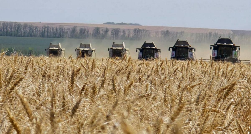 Донским аграриям дали год отсрочки по кредитам после весенних заморозков и засухи