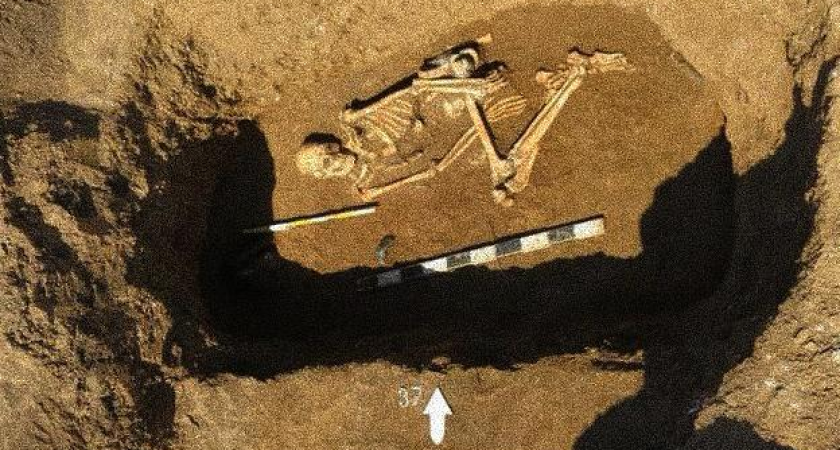 В Ростове нашли курганы возрастом 4500 лет — древнее всех известных городищ на тысячелетия