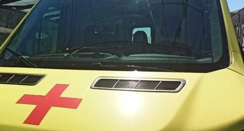 Метапневмовирус атакует детей Ростовской области: более 9 тысяч заболевших за неделю