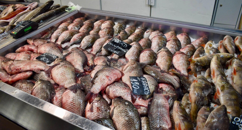 Рыба в Ростовской области подорожала до 313 рублей: где купить дешевле всего