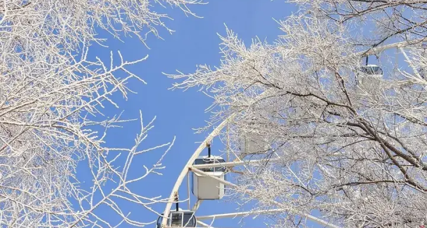 Февраль побьёт рекорды: Ростов ждёт самая тёплая зима за 30 лет