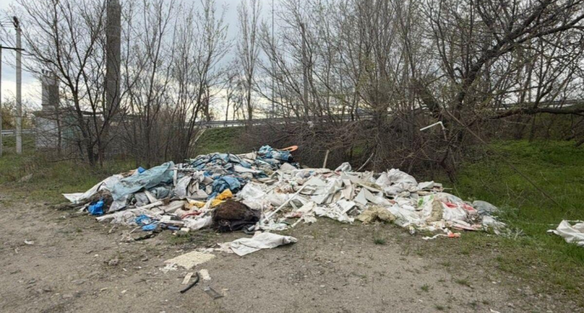 177 протоколов за два месяца: на Дону развернули охоту на нелегальных мусорщиков
