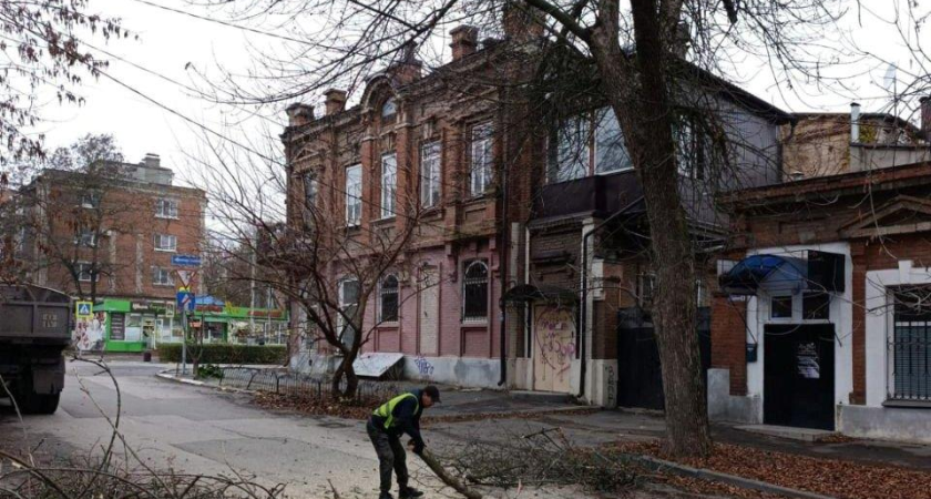 Ветка угрожала обрывом проводов и блэкаутом: в центре Таганрога устранили опасность
