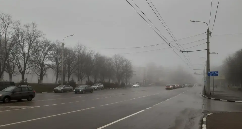 Туман, дожди и порывы ветра до 14 м/с: МЧС предупредило дончан о непогоде 20 ноября
