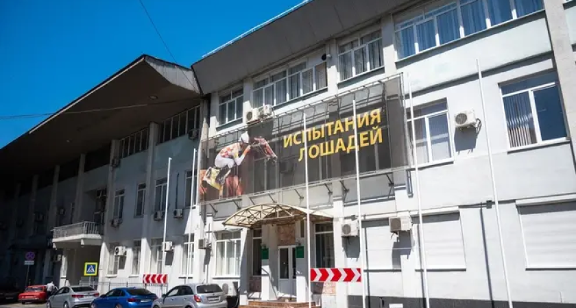 50 лошадей и неделя до выселения: ростовский ипподром сносят ради жилья «Неометрии»