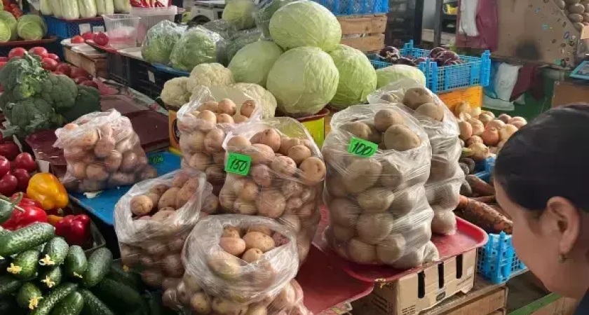 Ростовская область собрала 342 тысячи тонн картофеля: рост на 7,5% за год