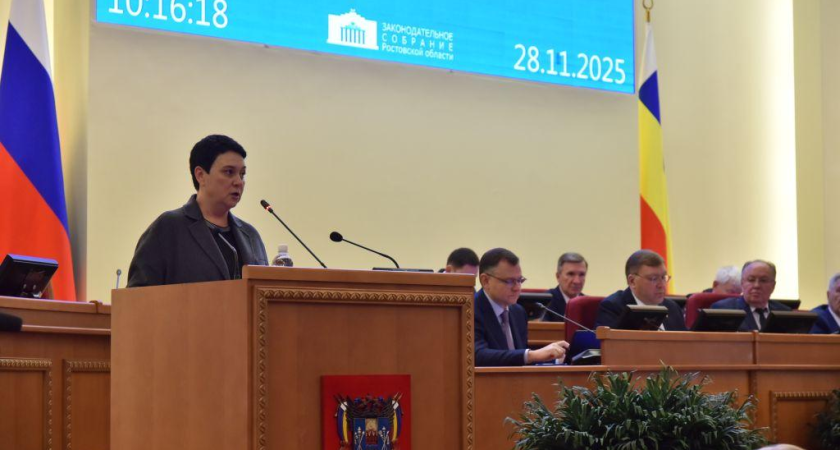 Бюджет Ростовской области урезали: налог на прибыль упал, прогнозы не оправдались