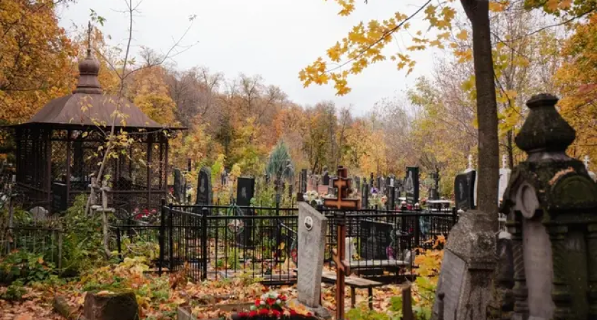 «ДОМ.РФ» продаст участки у кладбища в Ростове за 228,7 млн рублей под автостоянки