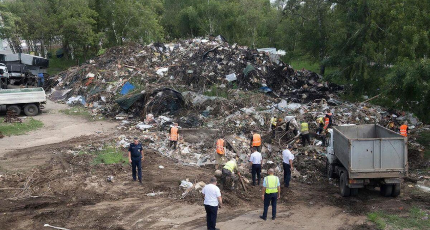 Прокуратура Ростова ликвидировала многолетнюю свалку в лесу за один день