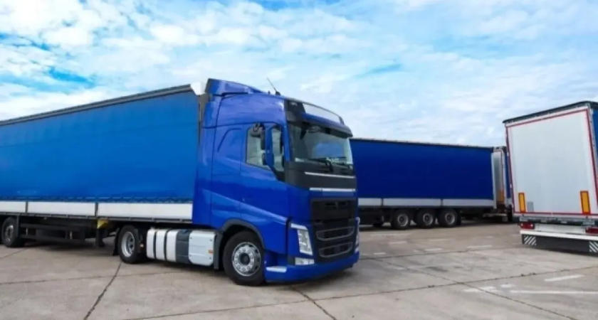 Ростовская область отправила в Китай 15 тонн пухоперьевой продукции