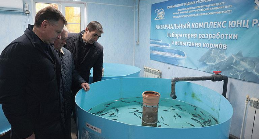 Азовское море осолоняется: Ростовская область выращивает 28 тысяч тонн рыбы, но ученые бьют тревогу