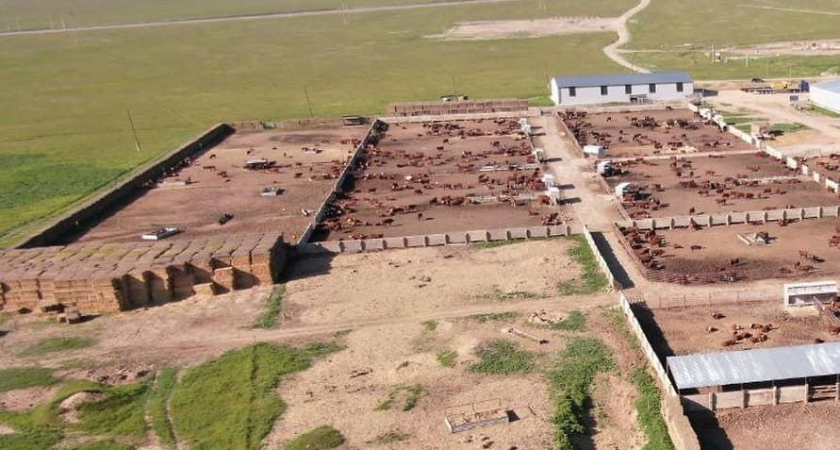 Дроны выявили 10 нарушений на фермах: дефекты ограждений и отсутствие дезбарьеров