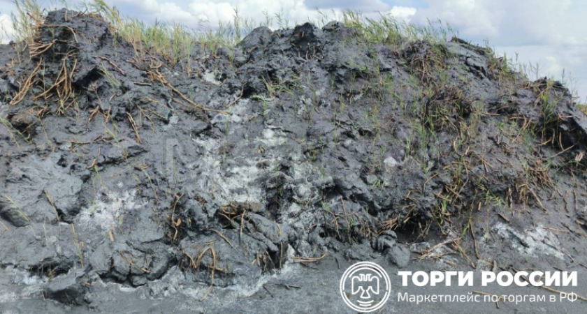 154 тысячи тонн угольного шлама: земли бывшей «Шахты Ростовской» снова ищут арендатора за 100 млн