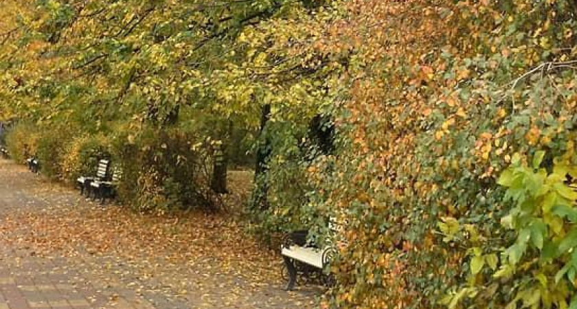 «Застывшие 90-е» и «колхоз в центре»: губернатор о 47 ларьках у памятника в Ростове