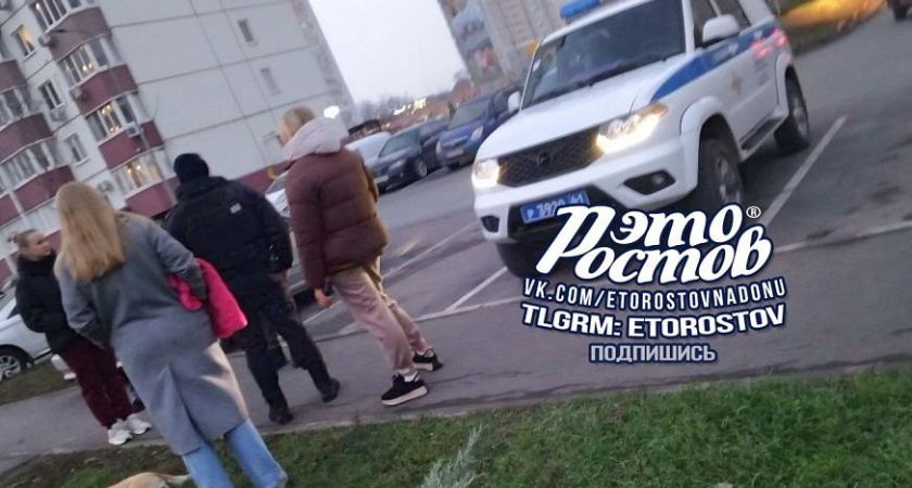Неизвестные расстреляли собак на трёх улицах Ростова: полиция ищет живодёров