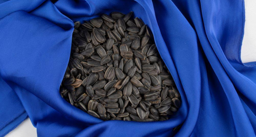 863 тонны донского подсолнечника завоевали рынки Беларуси, Армении и Казахстана