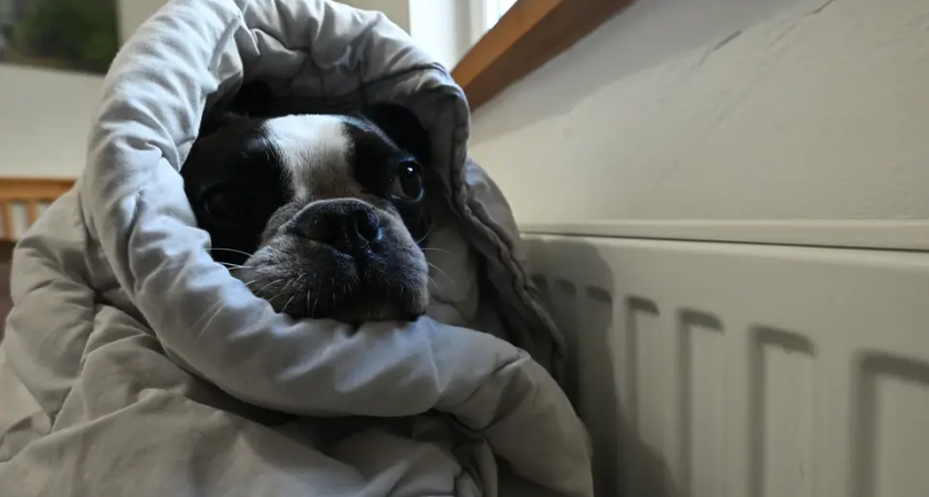 1400 домов Ростова получили тепло после критической аварии на ТЭЦ-2