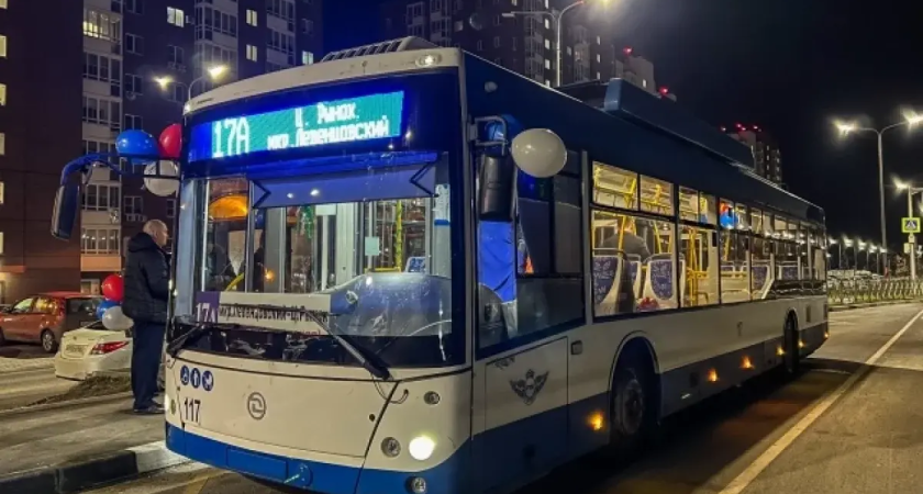 Ростов спасает 90-летний троллейбус: от 17 маршрутов остаётся 3