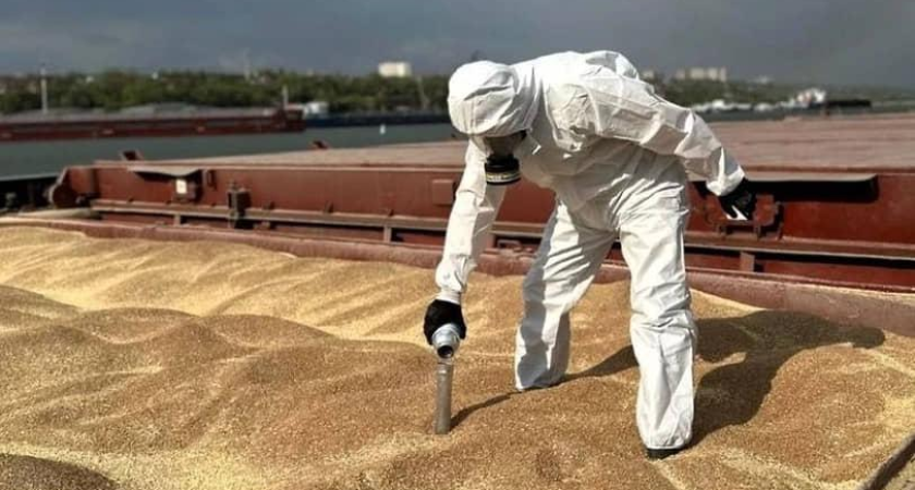 Россия прорвала экспорт зерна на 6,3 млн тонн благодаря Турции и Ирану