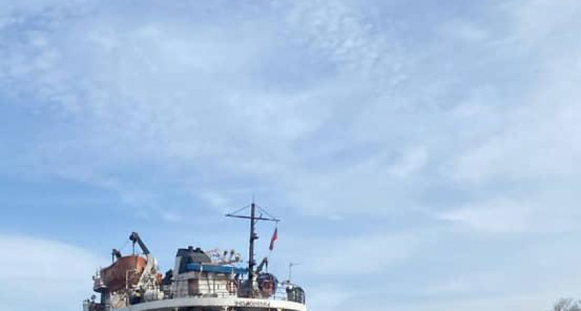 Дон в ноябре загрязнили нефтью: расследование завершено без жертв