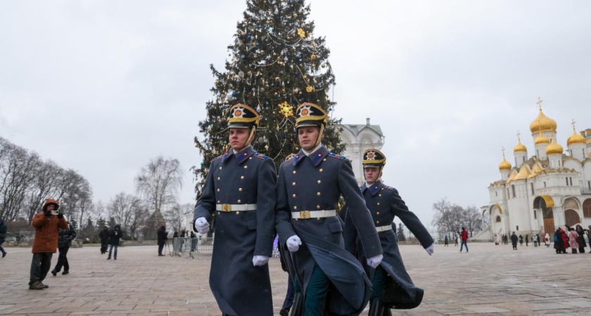«ЛизаАлерт» нашла 638 пропавших за год: 69 человек всё ещё ищут