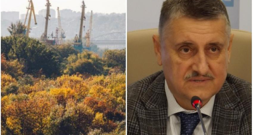 Левобережную рощу Ростова превратят в парк: никаких исключений