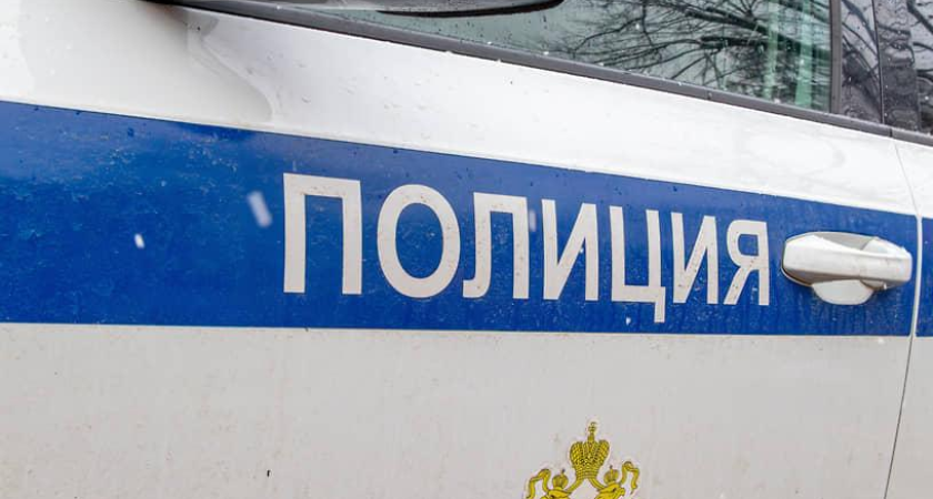 Преступления в Ростовской области упали на 44% в новогоднюю ночь