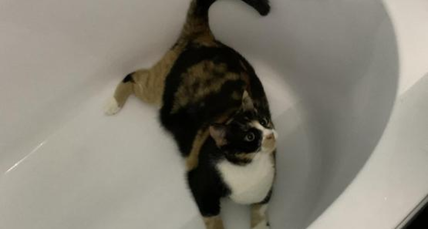 В новогодние праздники 8 домов Ростова остались без горячей воды