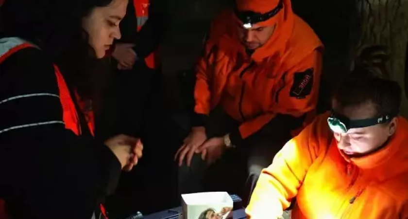 661 найден живым: волонтеры спасли почти 2/3 пропавших в Ростовской области