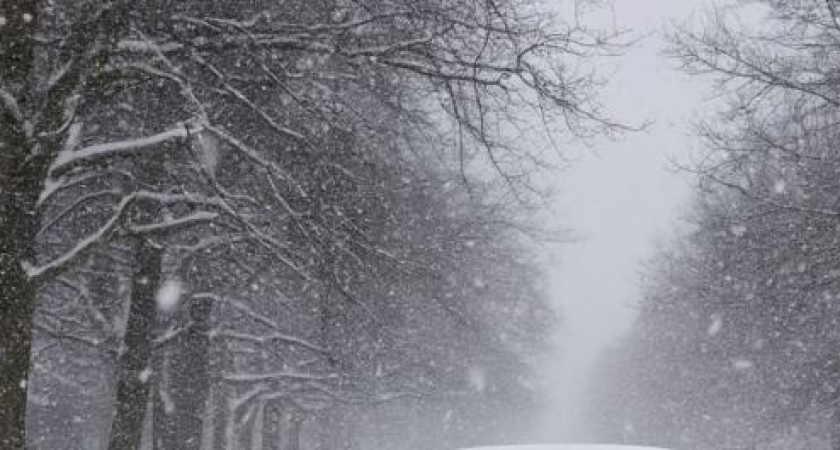 Метель с порывами ветра до 18 м/с накроет Ростовскую область на четыре дня