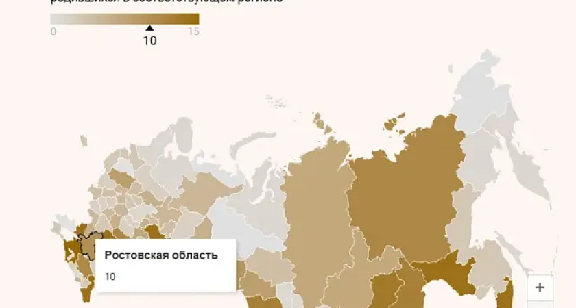 «Наши герои»: Ростовская область входит в ТОП-5 регионов по числу награжденных званием Героя России участников СВО
