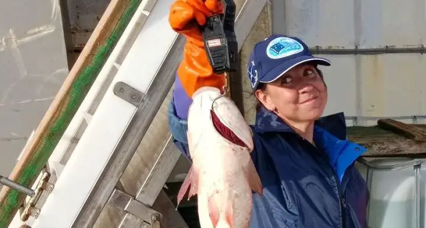 Учёные ликуют: пиленгас возвращается в Азовское море с рекордным ростом вылова на 26%