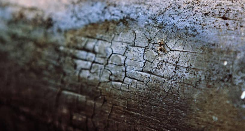 Трагедия в регионе: за неделю 10 жизней унесли пожары из-за небрежного обращения с газом и электричеством