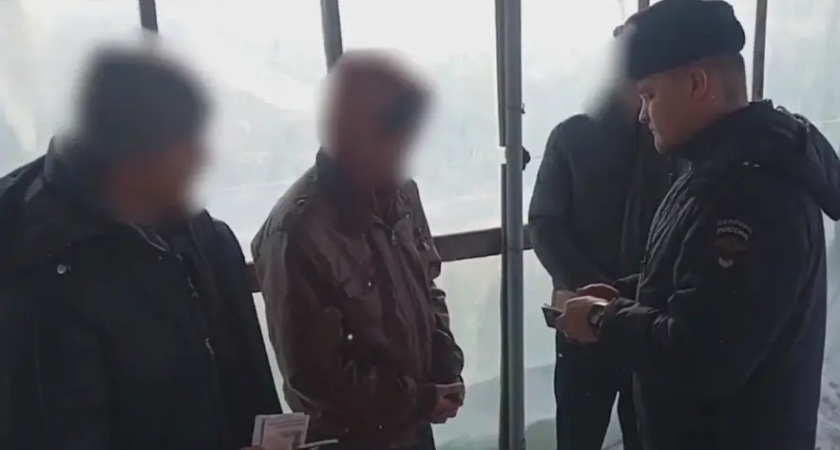 11 нелегалов на полях: полиция накрыла незаконных мигрантов на сельхозземлях Дона